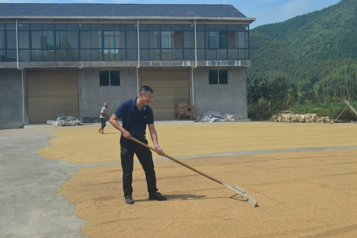 始終把脫貧攻堅的責任扛在肩上