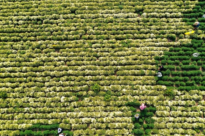 10 - 復件(4)_副本