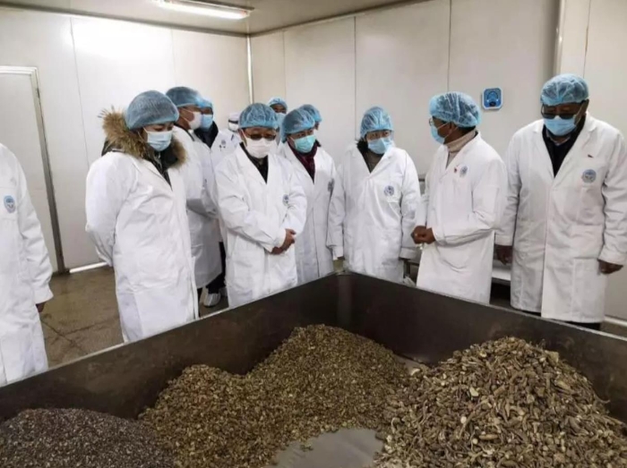 西藏自治區藥監局督導藥企復工復產工作