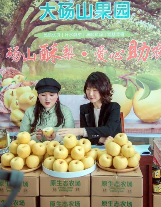 安徽碭山：特色產業搭“快車”，“電商扶貧”再升級