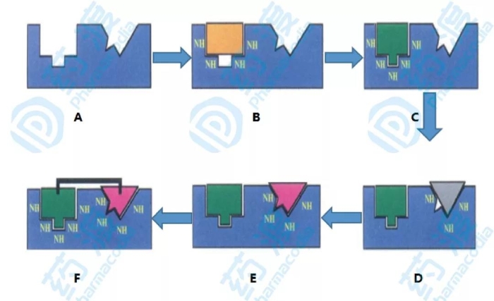 圖1.基于核磁共振技術的分子設計步驟示意圖