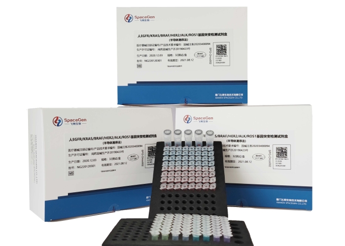 4廈門飛朔生物技術有限公司+人EGFR-KRAS-BRAF-HER2-ALK-ROS1基因突變檢測試劑盒（半導體測序法）