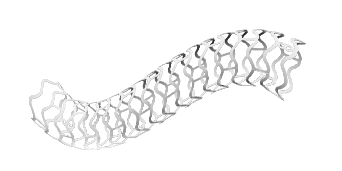 山東華安生物科技+生物可吸收冠脈雷帕霉素洗脫支架系統2
