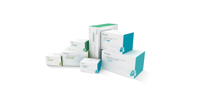 人EGFR、KRAS、BRAF、PIK3CA、ALK、ROS1基因突變檢測試劑盒（半導體測序法）1