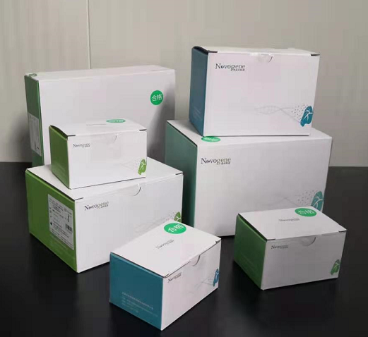 人EGFR、KRAS、BRAF、PIK3CA、ALK、ROS1基因突變檢測試劑盒（半導體測序法）2