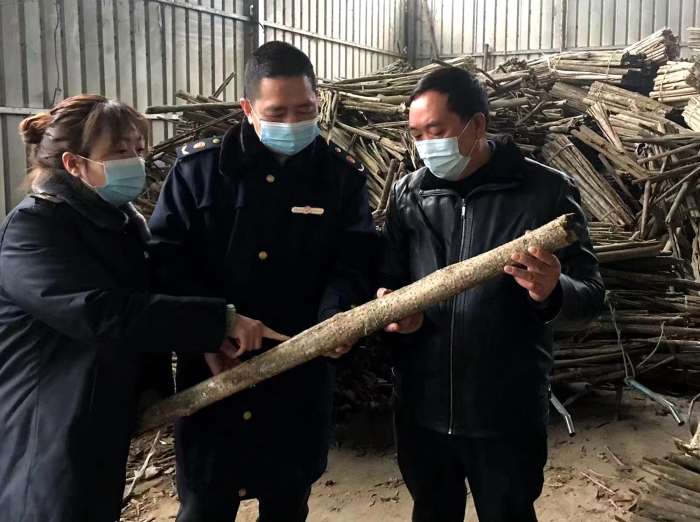 圖為工作人員在農民專業合作社了解中藥材采收情況。