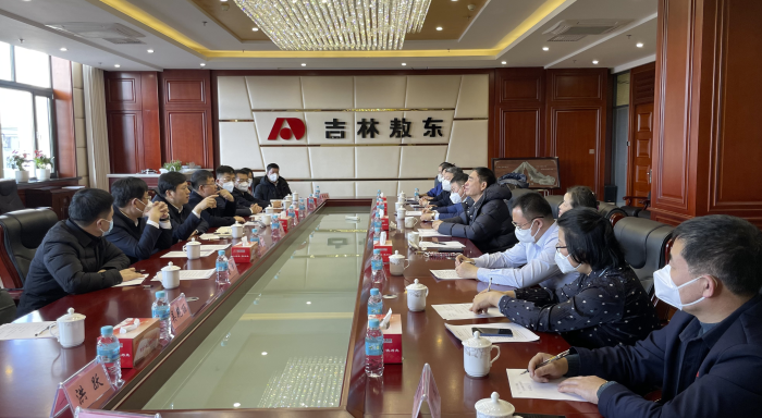 圖為調(diào)研組在吉林敖東召開座談會(huì)。