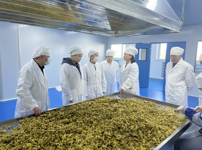 省藥品審核查驗(yàn)中心深入企業(yè)開展精準(zhǔn)幫扶 省藥品審核查驗(yàn)中心深入企業(yè)開展精準(zhǔn)幫扶