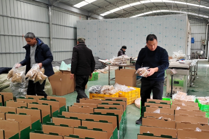 石泉縣兩河鎮(zhèn)中心村集體經(jīng)濟加工廠房內(nèi)劉玉棟(右一)和村民一起按照“消費幫扶”訂單將特色農(nóng)產(chǎn)品封裝成新春“年貨”。(賀一辰攝) 石泉縣兩河鎮(zhèn)中心村集體經(jīng)濟加工廠房內(nèi)劉玉棟(右一)和村民一起按照“消費幫扶”訂單將特色農(nóng)產(chǎn)品封裝成新春“年貨”。(賀一辰攝)