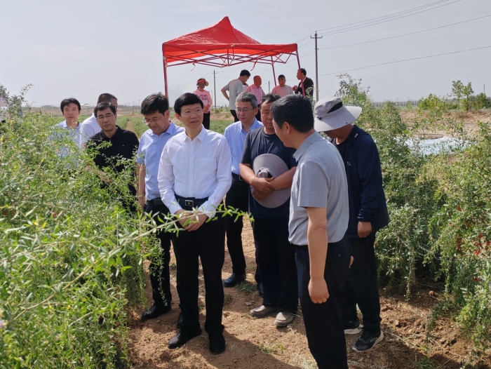 WechatIMG2 WechatIMG2